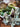 2.5" Glass Float - Green #4989