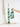String of Buoys - Green & White #304GW