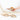 Triton Trumpet Shell (S) #6621